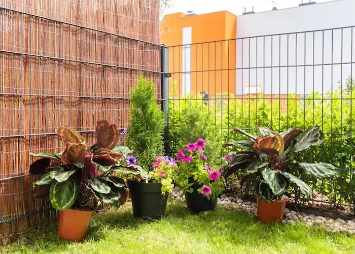 Luxapartmentwarszawa Z Bezplatnym Podziemnym Parkingem Appartement *